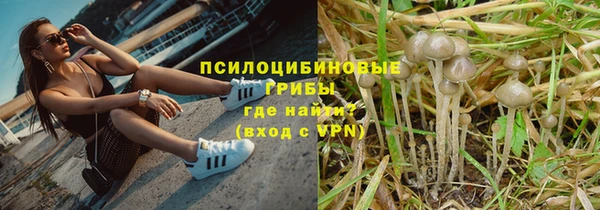 крисы Абдулино