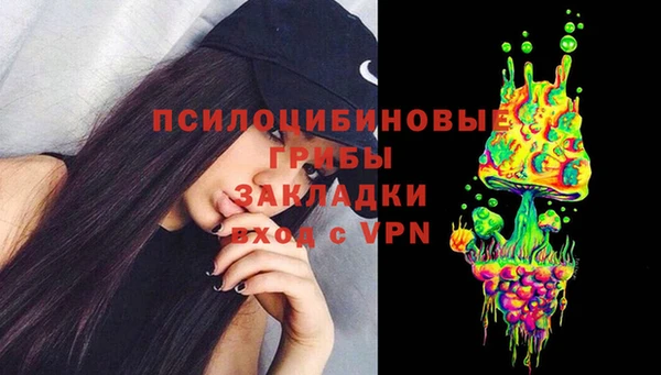 крисы Абдулино