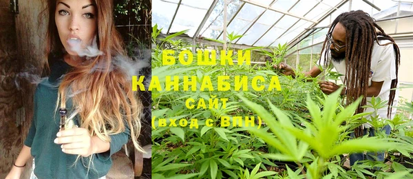 крисы Абдулино