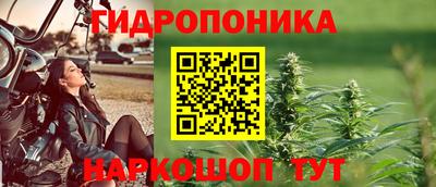 jwh Нальчик