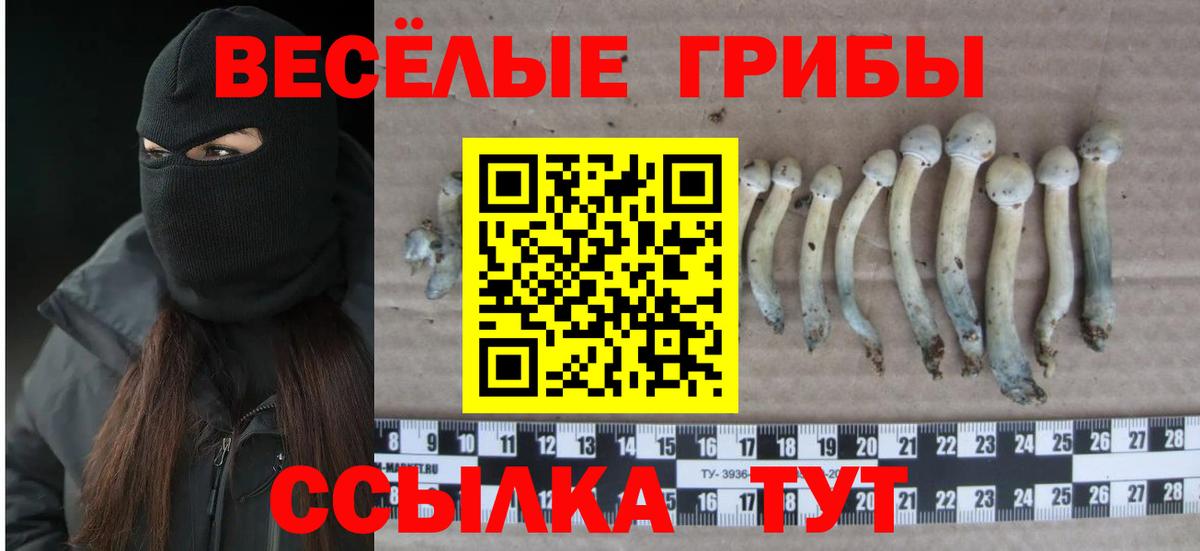Галлюциногенные грибы GOLDEN TEACHER Южноуральск