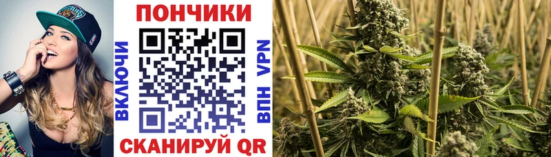 Шишки марихуана сатива Южноуральск